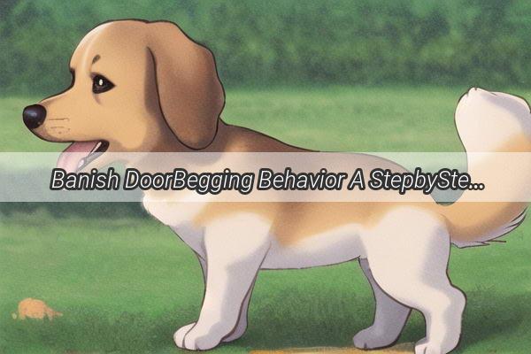  Banish DoorBegging Behavior A StepbyStep Guide to Training Your Dog to Stop Scratching at the Door